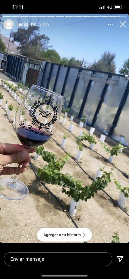 La Finca De Vane Valle de Guadalupe Kültér fotó