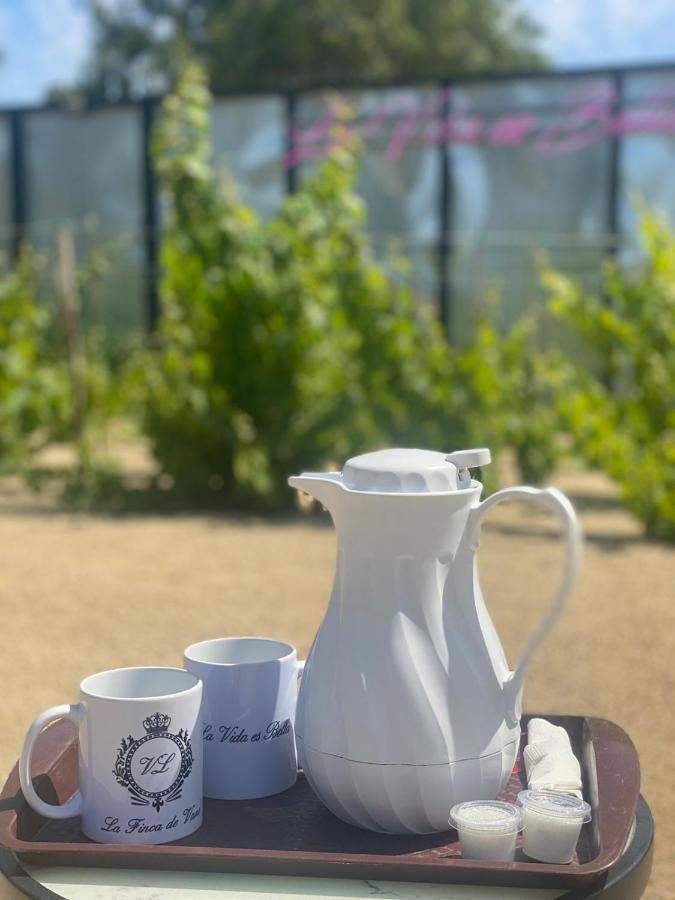 La Finca De Vane Valle de Guadalupe Kültér fotó