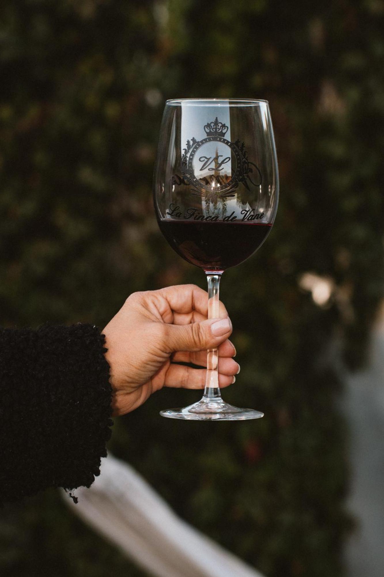 La Finca De Vane Valle de Guadalupe Kültér fotó